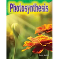 Photosynthesis