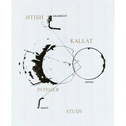 Jitish Kallat: Integer Study
