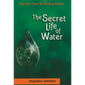 Secret Life of Water