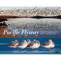 Pacific Flyway: Waterbird Migration from the Arctic to Tierra del Fuego