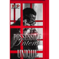 Possessive Intent: A North Brooke Port Novel