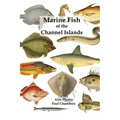 Marine Fish of the Channel Islands