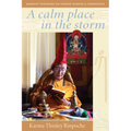 A Calm Place in the Storm: Buddhist Teachings on Finding Wisdom and Compassion