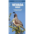 Nevada Birds: A Folding Pocket Guide to Familiar Species