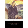 A Nietzsche Reader