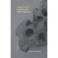 Figured Stones: Exploring the Lithic Imaginary