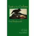 Last of the Curlews