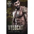 Wildcat (Rebel Saints MC Romance, Cutover Chapter, Motorcycle Club Book 2)