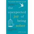 The Unexpected Joy of Being Sober: Discovering a Happy, Healthy, Wealthy Alcohol-Free Life