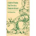 A Guide to Pruning Fruit Trees for a Productive Orchard