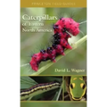 Caterpillars of Eastern North America: A Guide to Identification and Natural History
