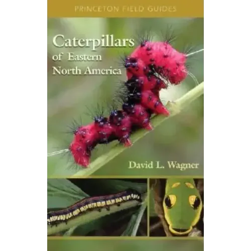 Caterpillars of Eastern North America: A Guide to Identification and Natural History