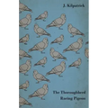 The Thoroughbred Racing Pigeon