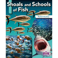 Shoals and Schools of Fish