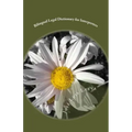 Bilingual Legal Dictionary for Interpreters: English-Spanish LEGAL Glossary