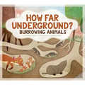 How Far Underground?: Burrowing Animals