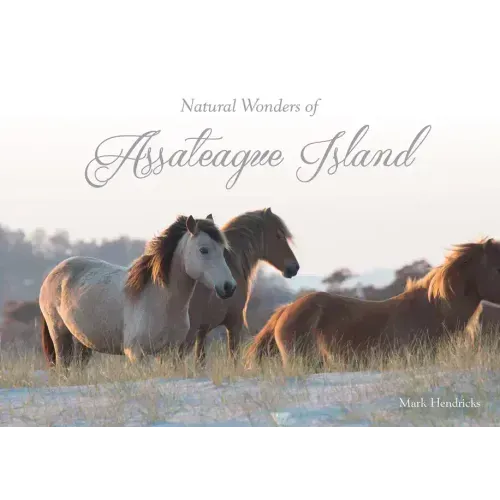 Natural Wonders of Assateague Island