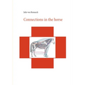 Connections in the horse
