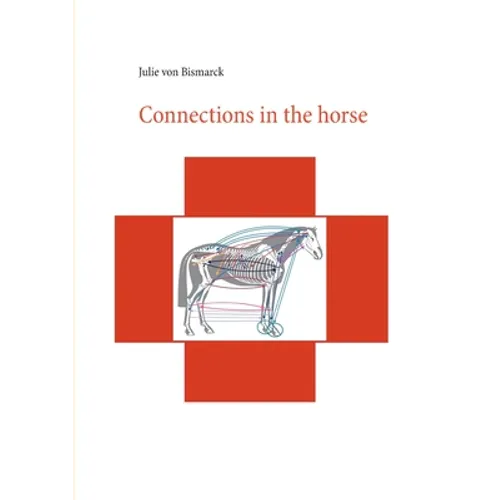 Connections in the horse