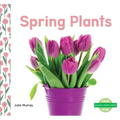 Spring Plants