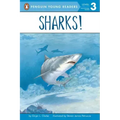Sharks!