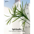 Spirituality: Aperture 237
