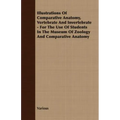 Illustrations of Comparative Anatomy, Vertebrate and Invertebrate - For the Use of Students in the Museum of Zoology and Comparative Anatomy