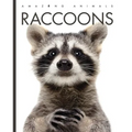 Raccoons
