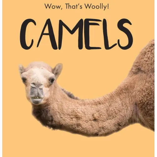 Camels
