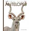 Antelopes