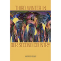 Third Winter in Our Second Country