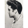 Being Elvis: A Lonely Life
