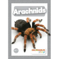 Arachnids