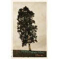 God Is a Tree: and Other Middle-Aged Prayers