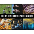 The Regenerative Career Guide