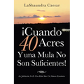 ¡Cuando 40 Acres Y Una Mula No Son Suficientes!: La Jubilación No Es Una Edad Sino Un Número Económico