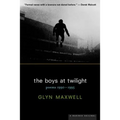 The Boys at Twilight: Poems 1990 - 1995