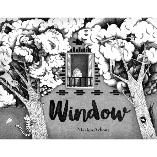 Window