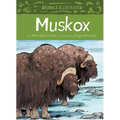 Animals Illustrated: Muskox
