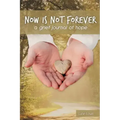 Now Is Not Forever: A Grief Journal of Hope