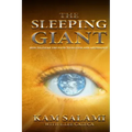 The Sleeping Giant: Clearing the Path to Success and Abundance