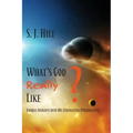 What's God Really Like: Unique Insights Into His Fascinating Personality
