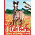 Foals: Horse Images for Artist's Reference and Inspiration