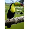 Wonderful Nature Birds: Picture book gift for seniors with Dementia or patients with Alzheimer's. 40 full color photographs of birds, with nam