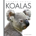 Koalas
