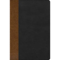 Rvr 1960 Biblia de Estudio Arcoiris, Tostado/Negro Símil Piel