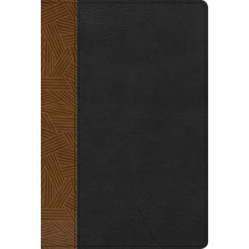 Rvr 1960 Biblia de Estudio Arcoiris, Tostado/Negro Símil Piel