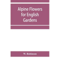 Alpine flowers for English gardens