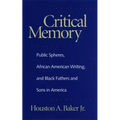 Critical Memory: Public Spheres, African American Writing, and Black Fathers and Sons in America