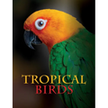 Tropical Birds